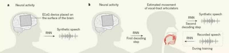 华裔科学家成功解码脑电波，AI直接从大脑中合成语音